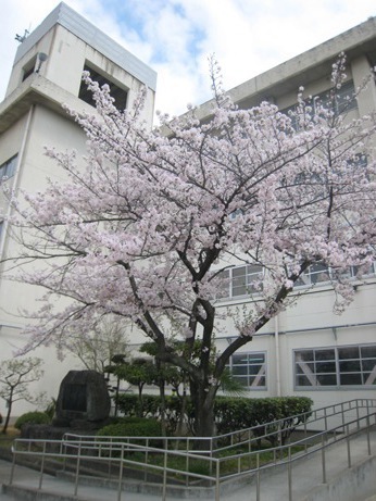 寝屋川市宝町の新築一戸建(寝屋川市立第八中学校)