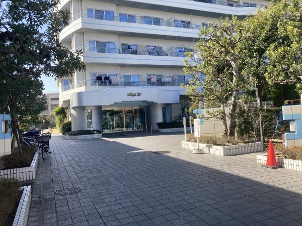 インテリジェントシティ