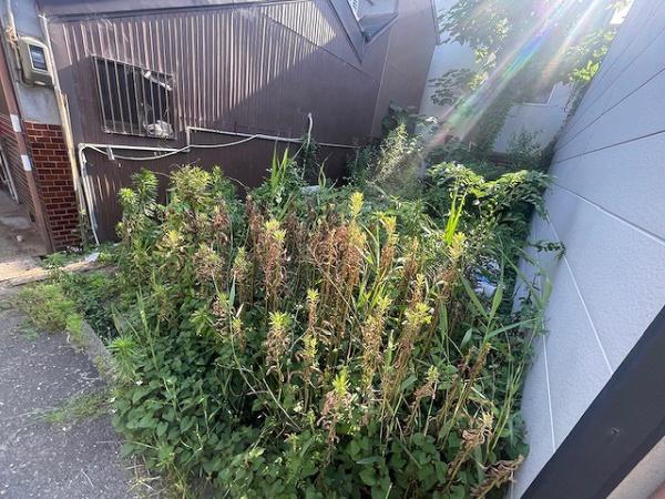 大阪市東成区大今里2丁目　売土地