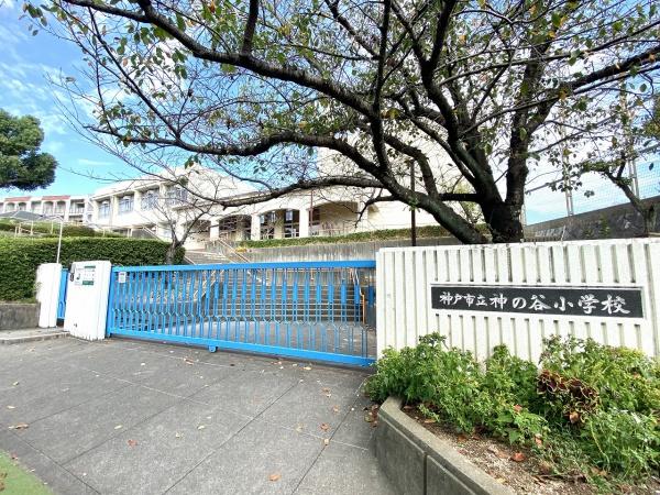 神戸市須磨区神の谷5丁目の土地(神の谷小学校)