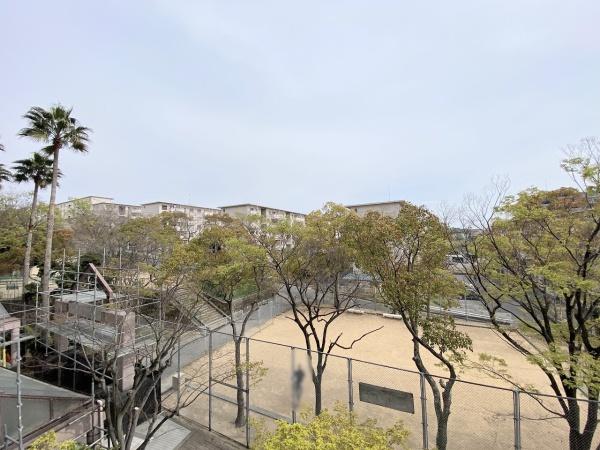 パームスクエアジェームス山