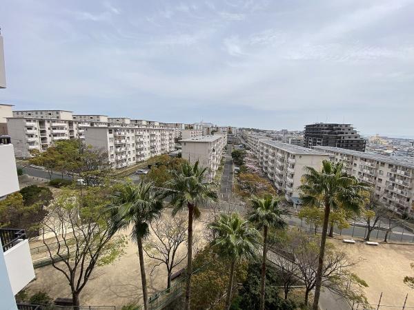 パームスクエアジェームス山