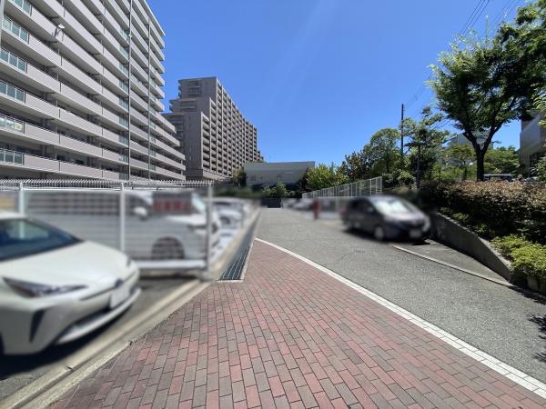 ウインヒルズジェームス山