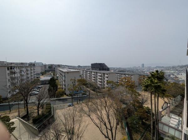 パームスクエアジェームス山