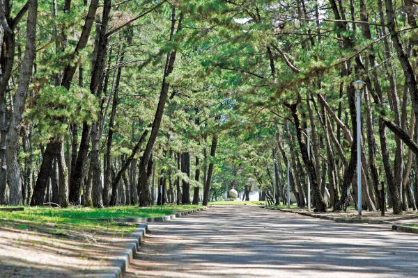 加古川市別府町新野辺の新築一戸建(浜の宮公園)