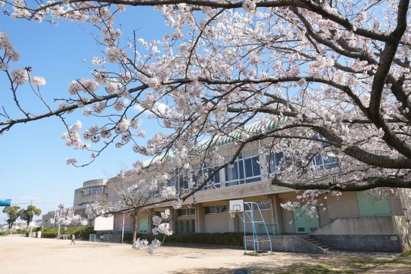 加古川市志方町横大路の中古一戸建て(加古川市立志方西小学校)