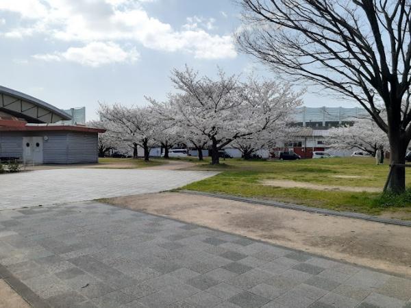 加古川市尾上町池田の新築一戸建(尾上公園)