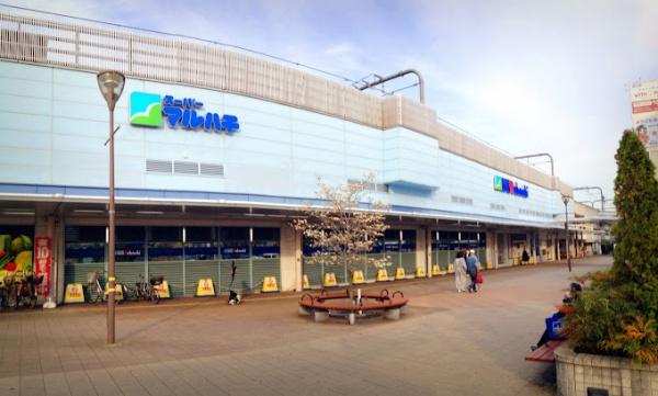 加古川グリーンシティＤ棟(マルハチ加古川店)