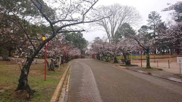 加古川市加古川町中津の中古一戸建て(日岡山公園)