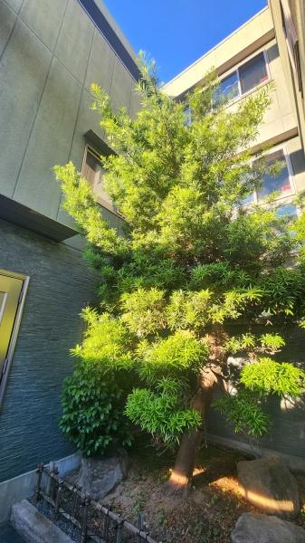 大東市野崎１丁目の中古一戸建て