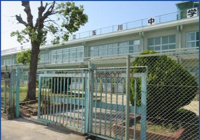 東大阪市稲葉3丁目の土地(東大阪市立玉川中学校)
