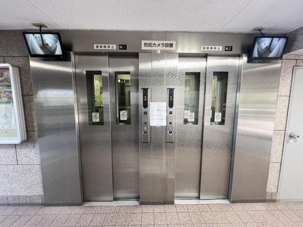 八戸ノ里スカイハイツ　中古マンション