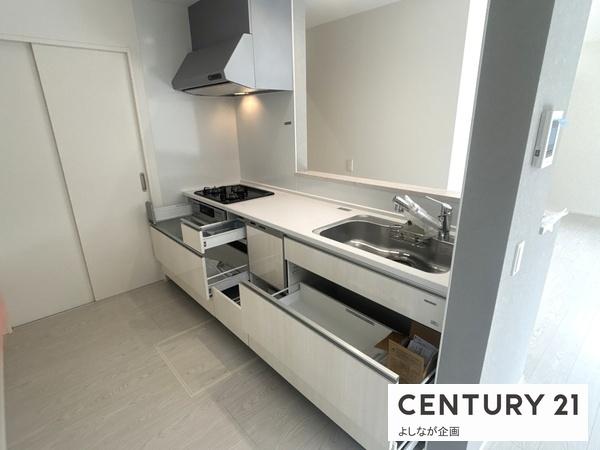 中央台1丁目 新築戸建(2号棟)(収納)