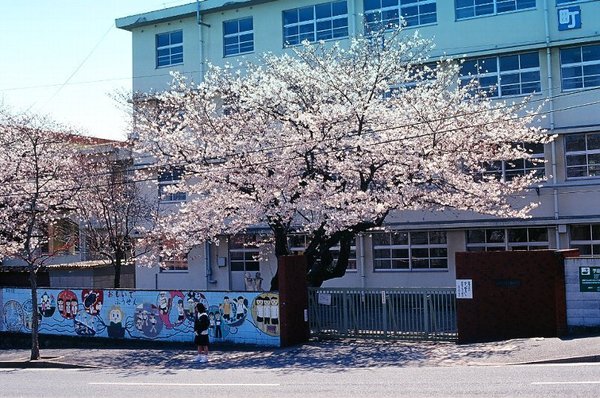若松区西園町新築戸建(北九州市立深町小学校)