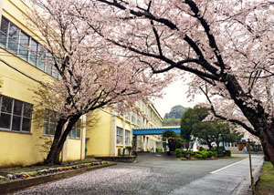 グリーンハイツ梅ノ木(水巻町立杁小学校)