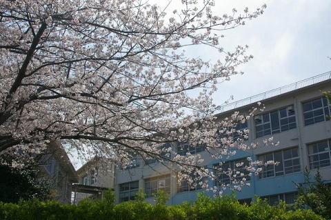 コーポランド幸神Ⅱ(北九州市立黒畑小学校)