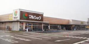 グランドパレス曽根3(マルショク曽根店)