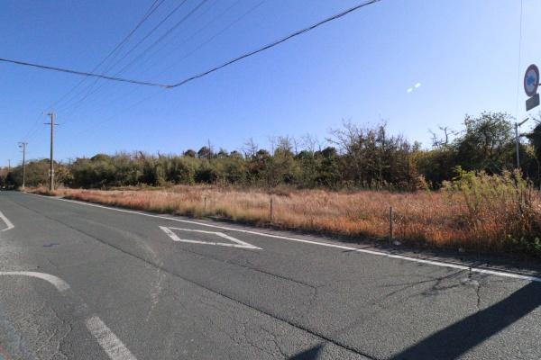 海近くの新居町290坪超えの敷地