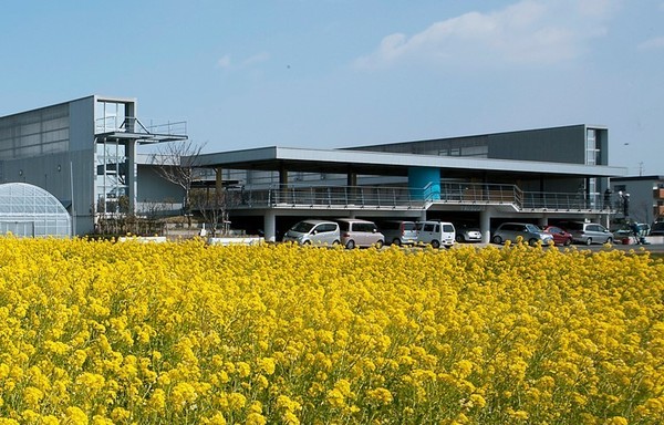 浜松市中央区富屋町の中古一戸建て(ずだじこども園)