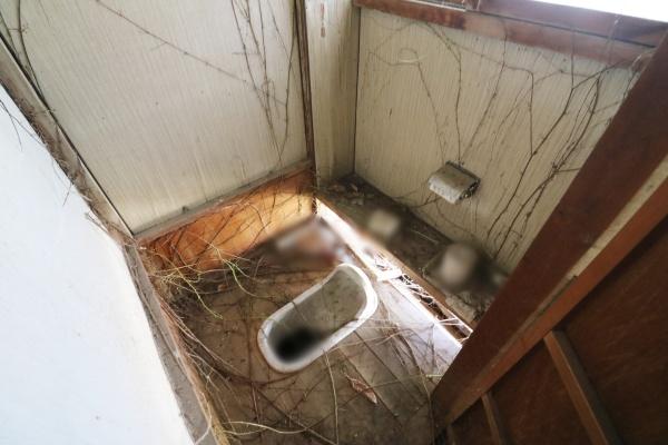 浜松市天竜区春野町気田の中古一戸建て