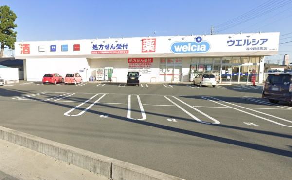 浜松市中央区新橋町の土地(ウエルシア浜松新橋町店)
