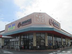 浜松市中央区和合北4丁目の中古一戸建て(遠鉄ストアフードワン泉店)