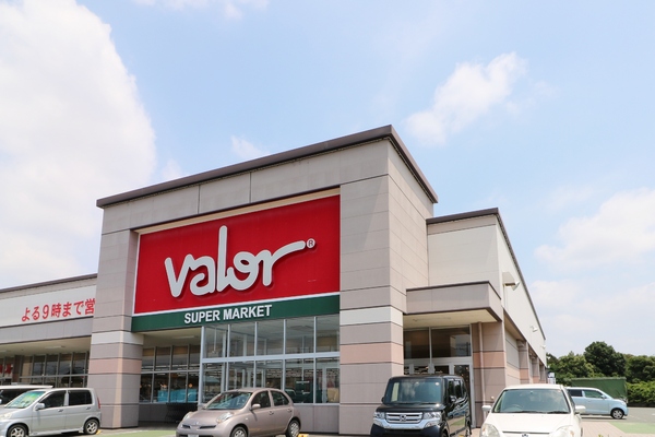 浜松市中央区有玉西町の土地(バロー有玉店)