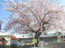 掛川市大渕　新築全2棟　2号棟(よこすか保育園)