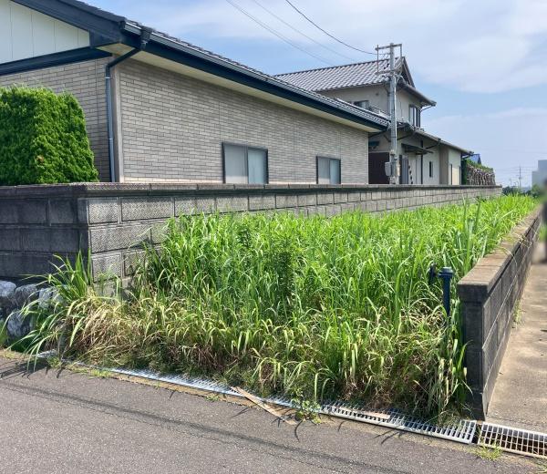 御前崎市白羽の土地