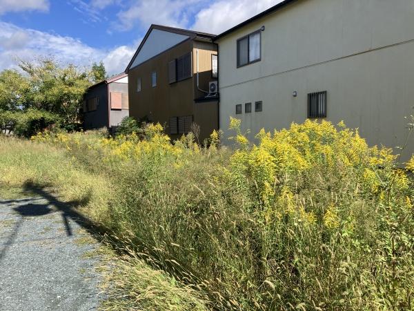 周智郡森町森の土地