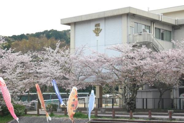 豊川市中条町鴻ノ巣の土地(豊川市立南部中学校)