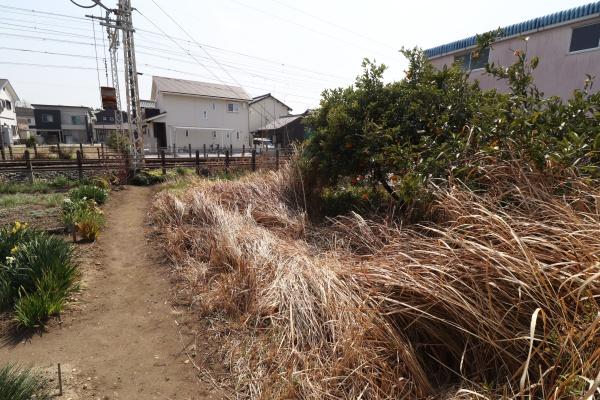 豊川市中条町鴻ノ巣の土地