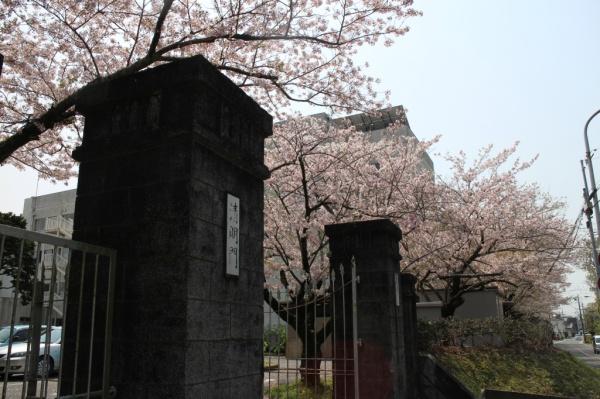 豊橋市老松町の土地(豊橋市立青陵中学校)