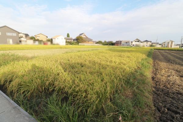 豊川市御津町御馬塩入の土地