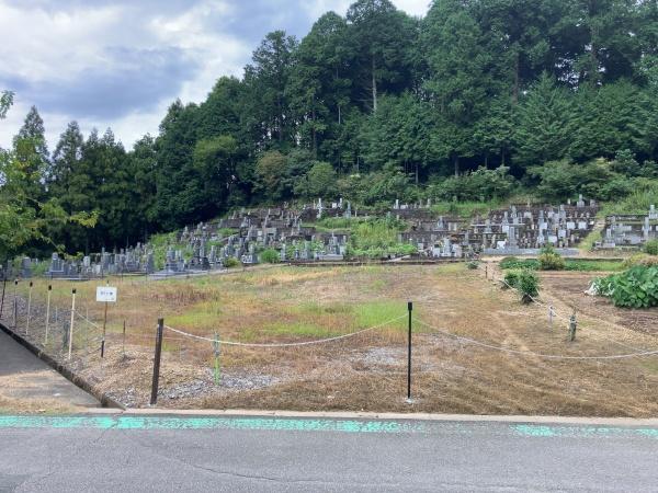 北設楽郡東栄町大字本郷字久保田の土地
