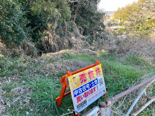 牧之原市波津　土地