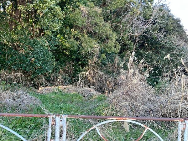 牧之原市波津の土地