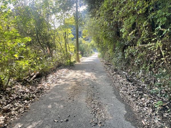 藤枝市中藪田の土地