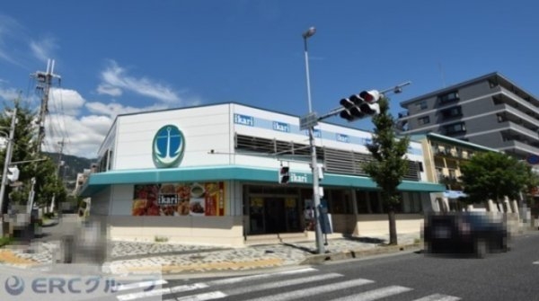 神戸市東灘区住吉本町2丁目の土地(いかりスーパー御影店)