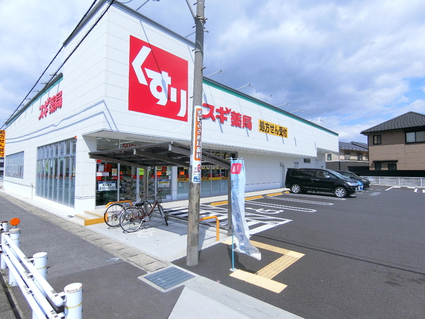 知立市谷田町本林1丁目の土地(スギドラック新林店)
