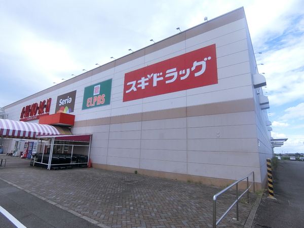 碧南市平山町1丁目の中古一戸建て(スギ薬局高棚店)