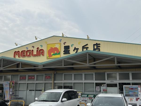 刈谷市井ケ谷町丸岡の土地(メグリアミニ星ケ丘店)