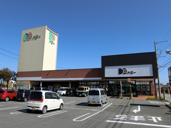 西尾市寺津町天王山　2号棟(ドミー寺津店)