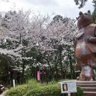 高浜市春日町４丁目の土地(大山緑地)