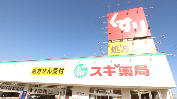 刈谷市野田町大脇道の土地(スギ薬局刈谷松栄店)