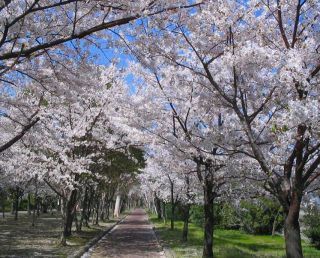 碧南市福清水町４丁目　１号棟(第2号碧緑地)