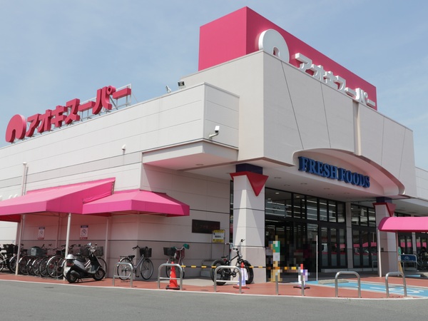 高浜市論地町2期1棟(アオキスーパー碧南店)