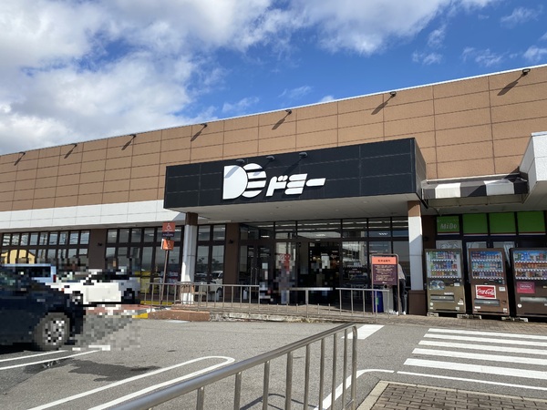レゾンシティ安城桜町(ドミー安城横山店)