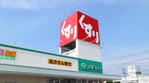 碧南市笹山町3丁目　2号棟(スギ薬局碧南城山店)