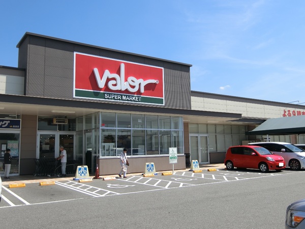 西尾市平坂町　第10　4号棟(バロー平坂店)